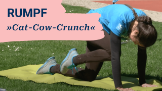 Platzhalterbild — Rumpf: Cow-Cat-Crunch